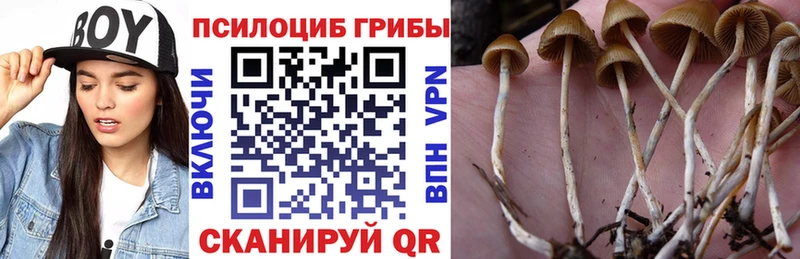 Купить закладки  Инсар  Галлюциногенные грибы GOLDEN TEACHER 